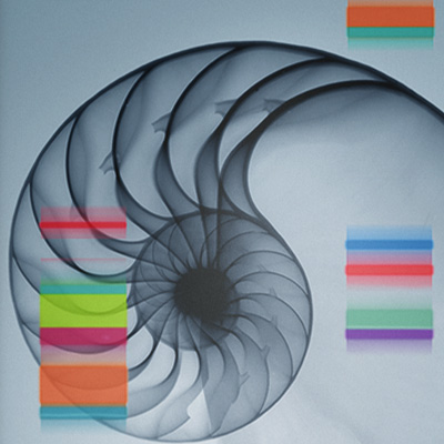 Design and Art Direction