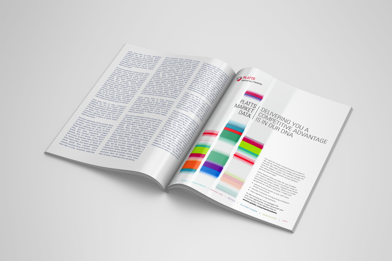 brand guidelines