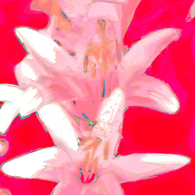 Object
